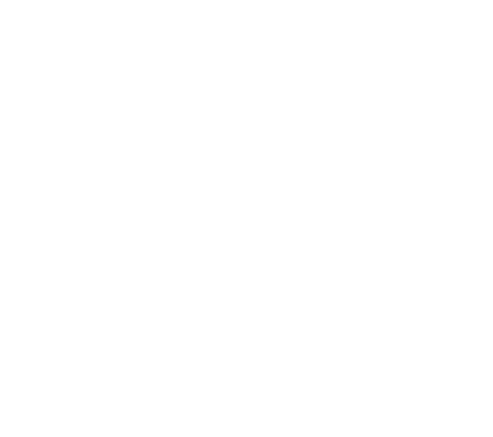 Fnaim-blanc-logo