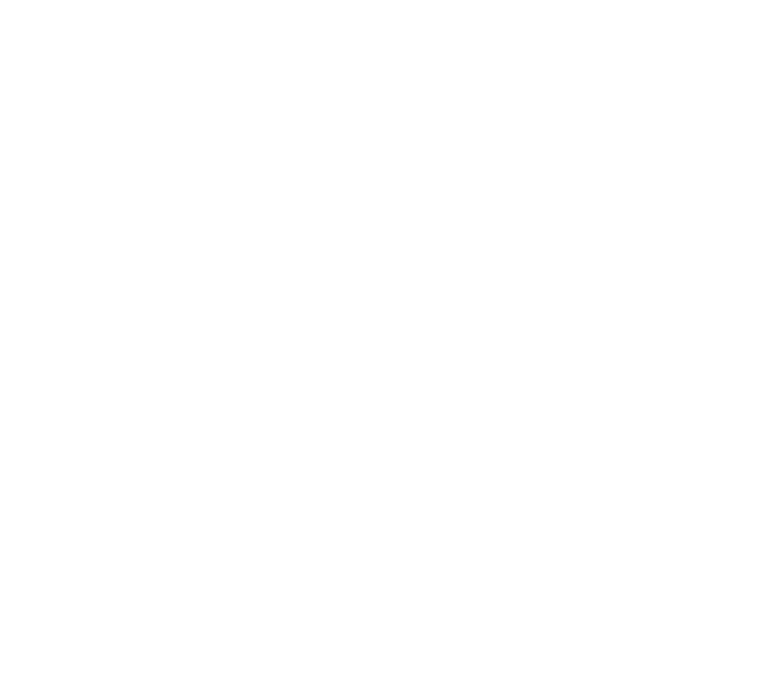 logo-bolloré-blanc