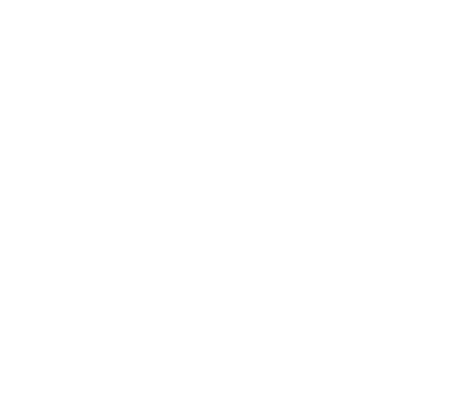 renault-blanc-logo